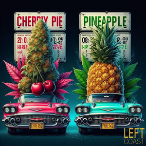 Left Coast Dual Chamber Cherry Pie and Pineapple Express